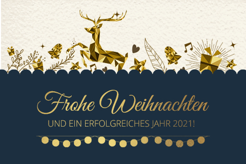 Frohe Weihnachten und ein erfolgreiches Jahr 2021!